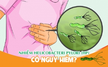 Nhiễm helicobacteri pylori (hp) có nguy hiểm?